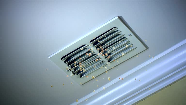 Best Affordable Air Duct Cleaning  in Otis Orchards East Farms, WA